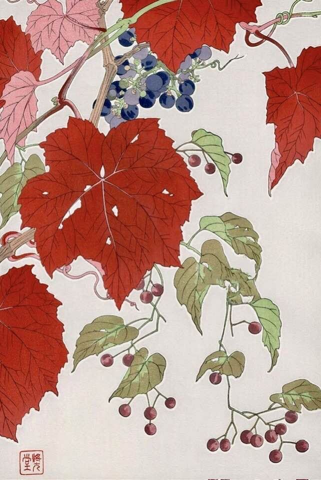 Картинка из Интернета