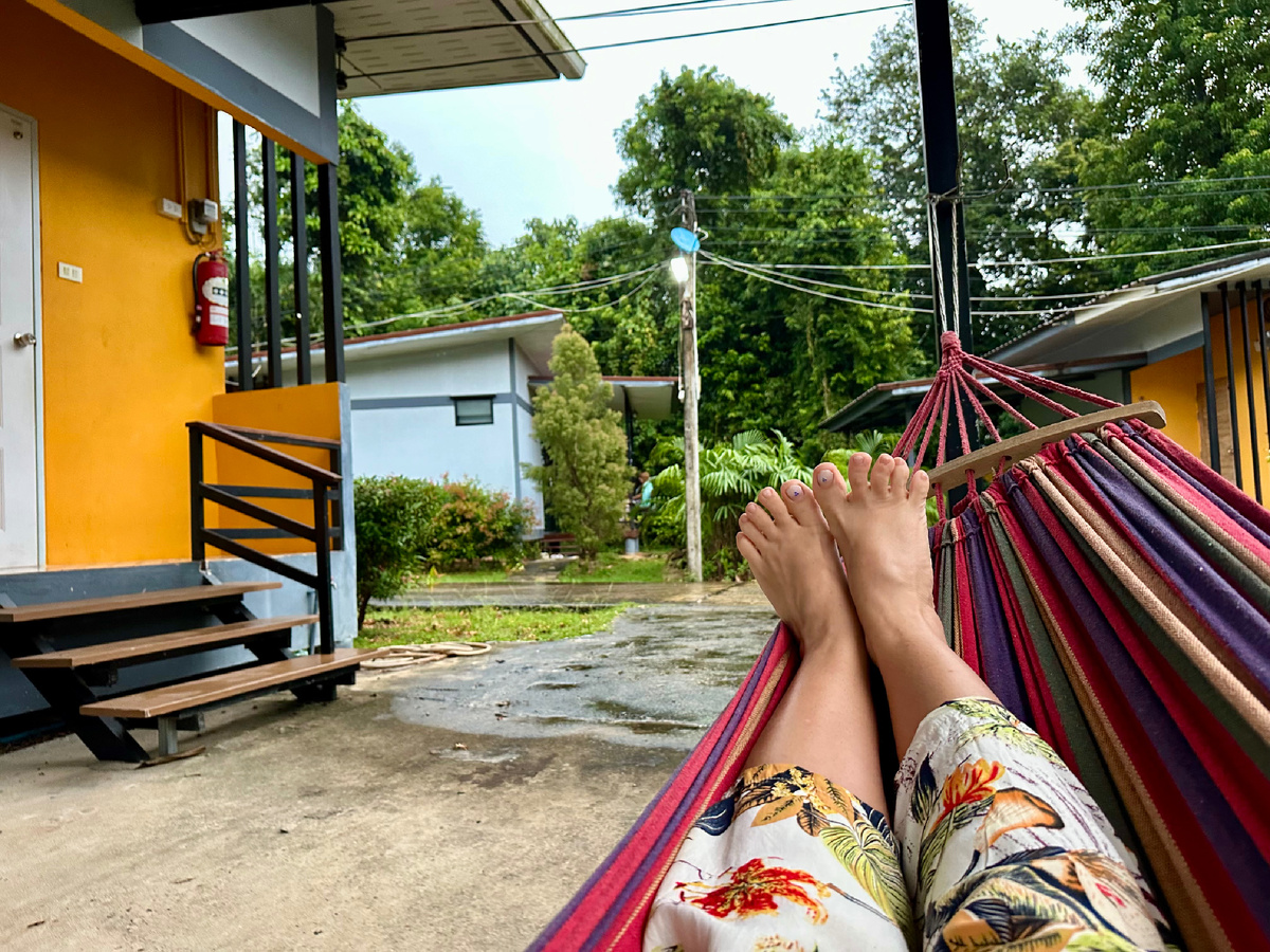 Вечером в гамаке пишу статьи в Дзен.