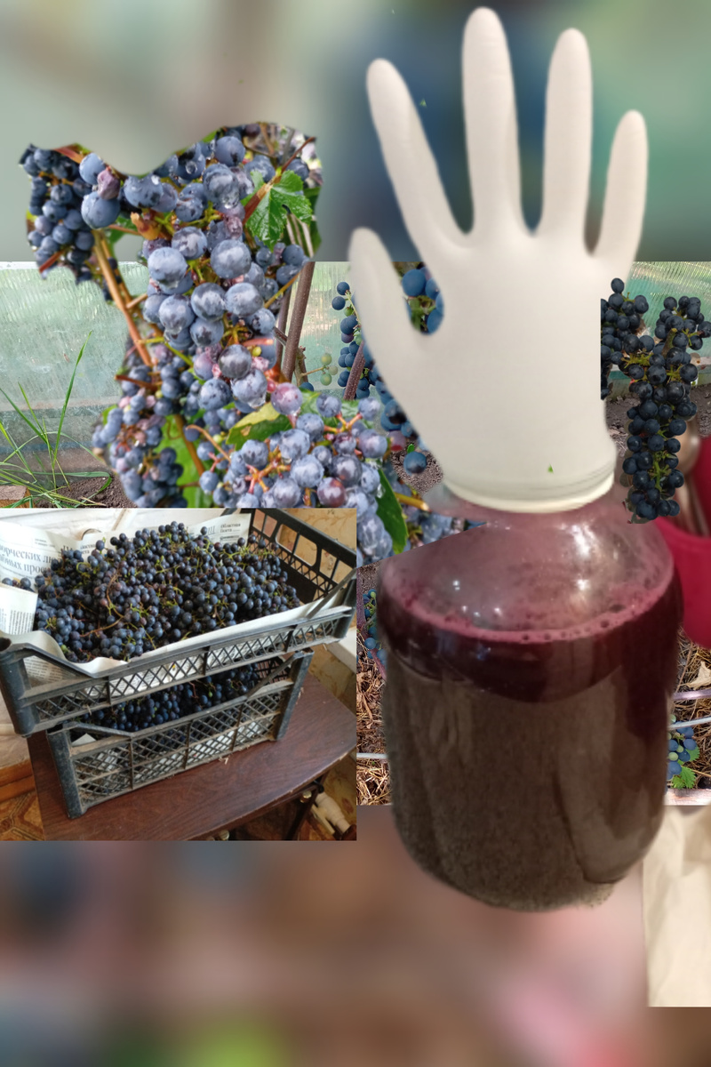 Фото автора.