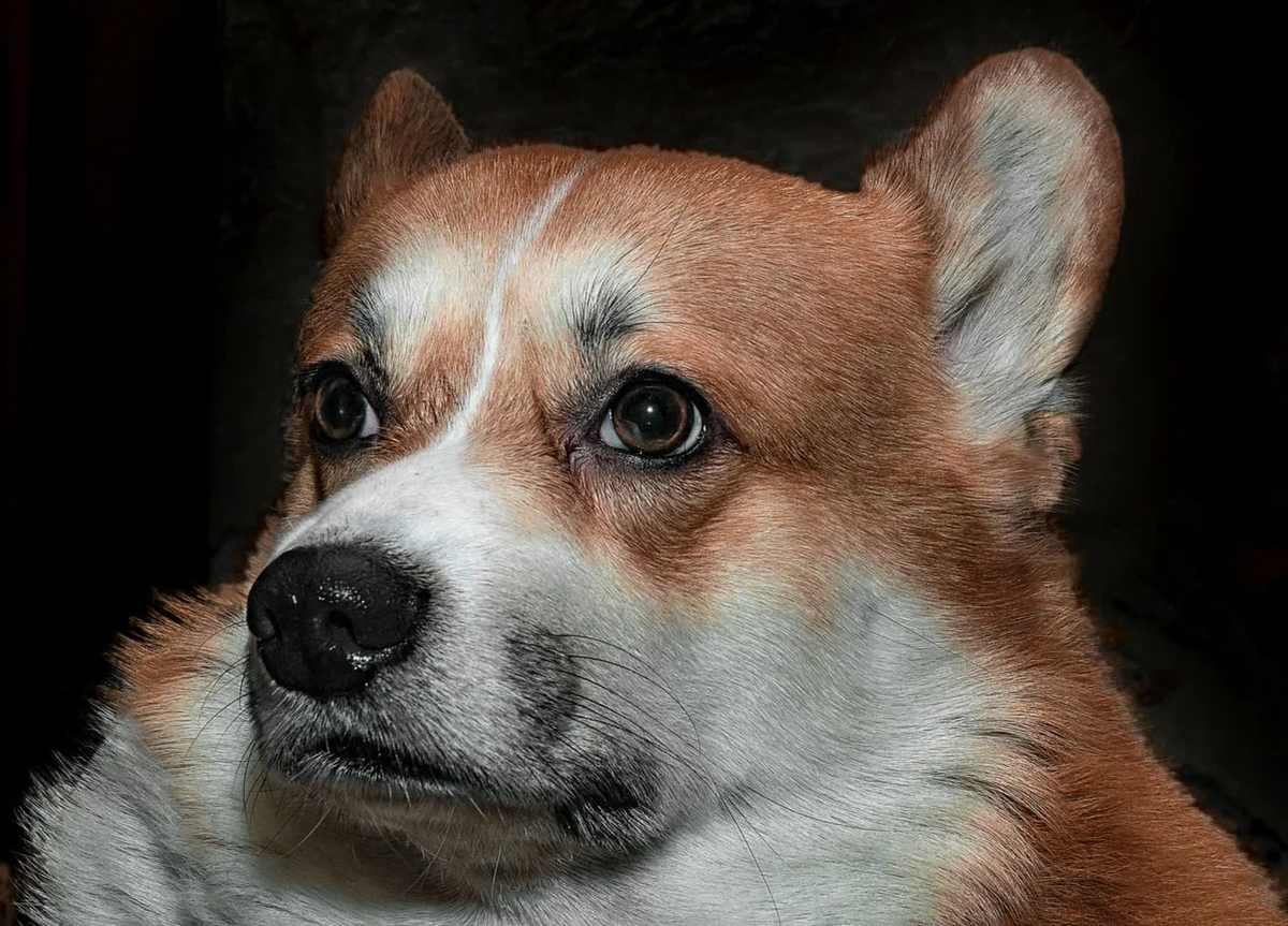 Всё под контролем. Просто контролирую покой