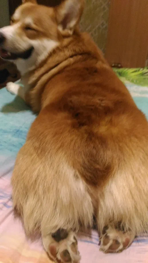 Йога уровня “ещё пять минуточек