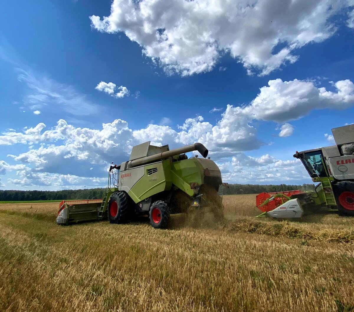 фото взяли с сайта https://yandex.ru/images/search?from=tabbar&img_url=https%3A%2F%2Fmoyapk.mosreg.ru%2F_next%2Fimage%3Furl%3Dhttps%253A%252F%252Fapi.moyapk.mosreg.ru%252Ffiles%252Fapi%252Ffiles%252F1ee934c6-efe5-62ca-83d3-a31410248a07%252Fview%26w%3D3840%26q%3D100&lr=56&pos=1&rpt=simage&text=КОМБАЙНЫ%20С%20ГОСПОДДЕРЖКОЙ
