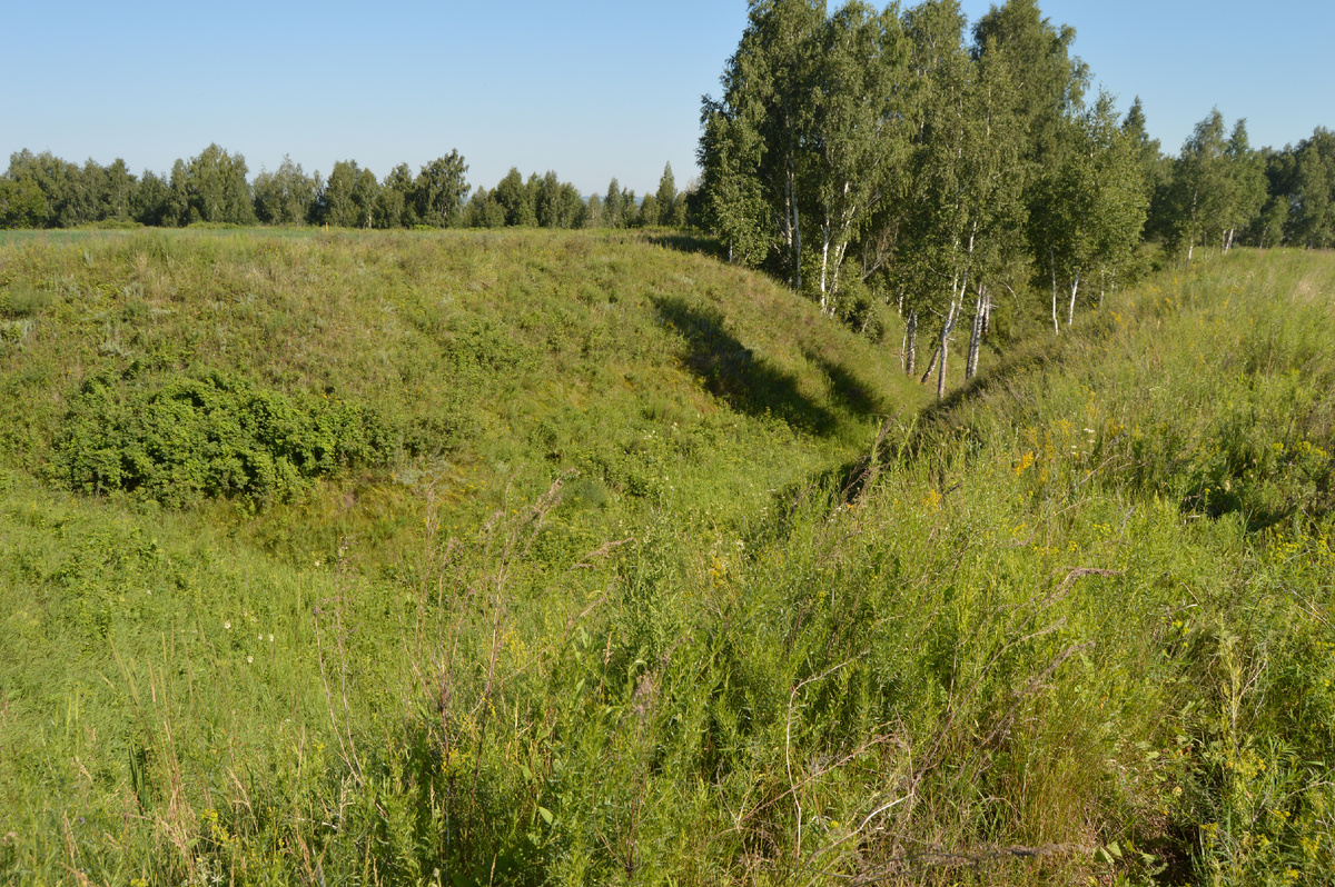 Увалы с луговой клубникой (фото автора)