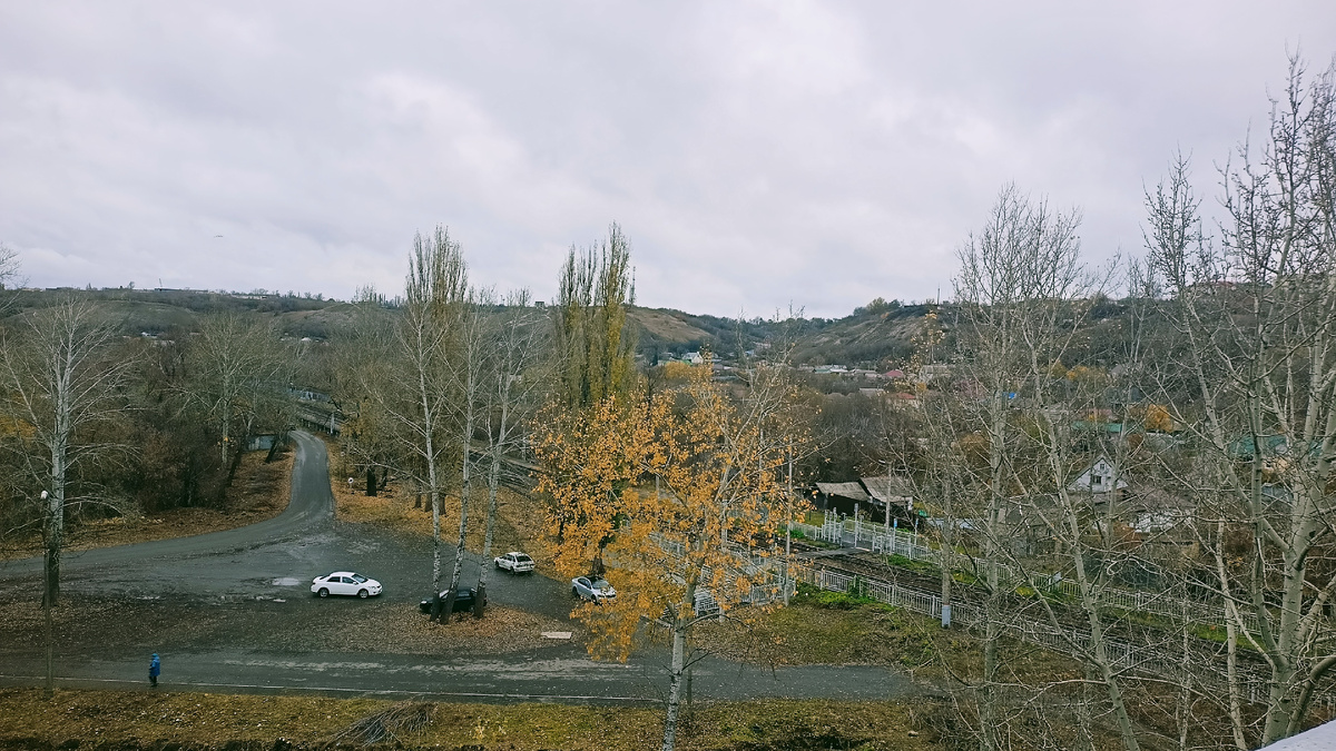 Старооскогльские Казацкие бугры в ноябре 2025 года. Фото автора.