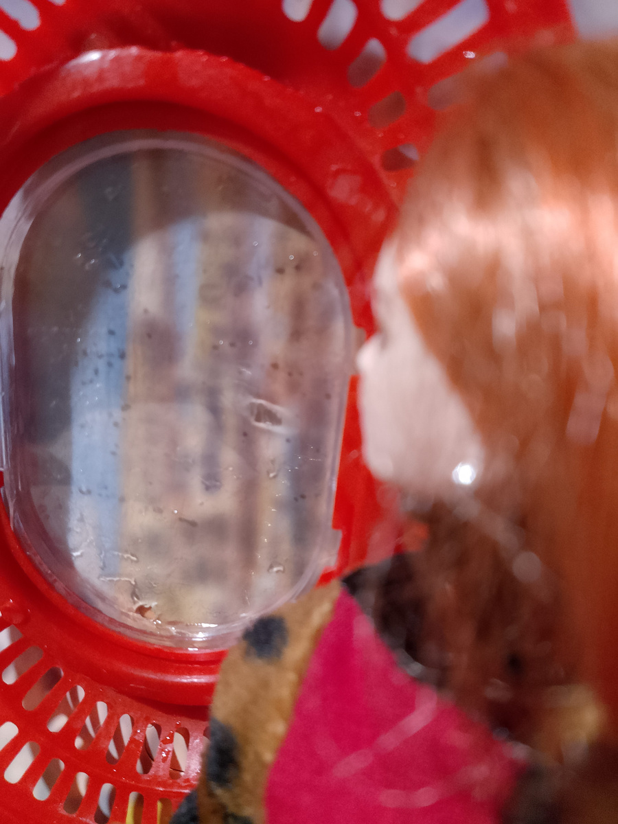 Смотрит в иллюминатор самолёта 