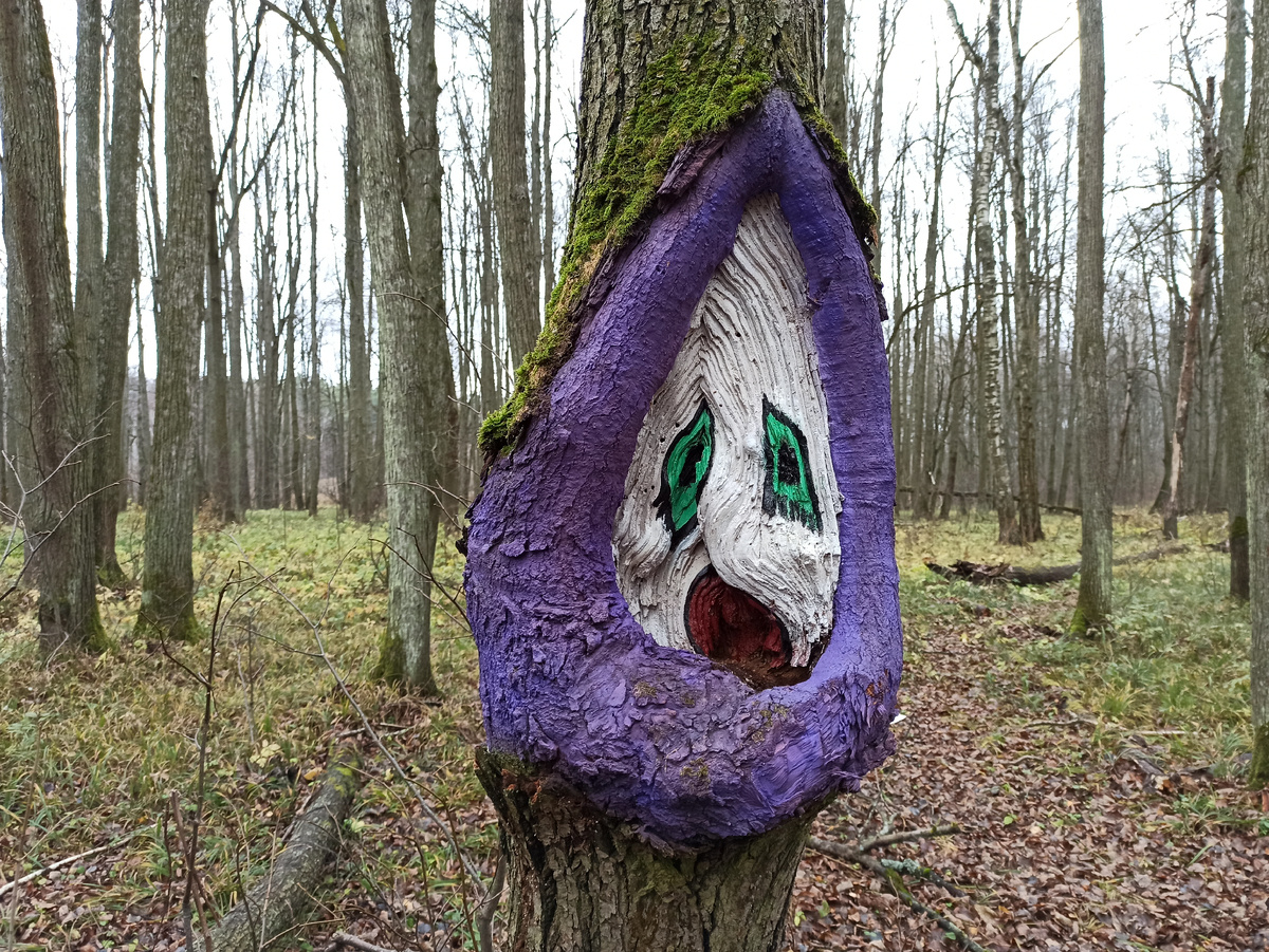 Фото автора. 