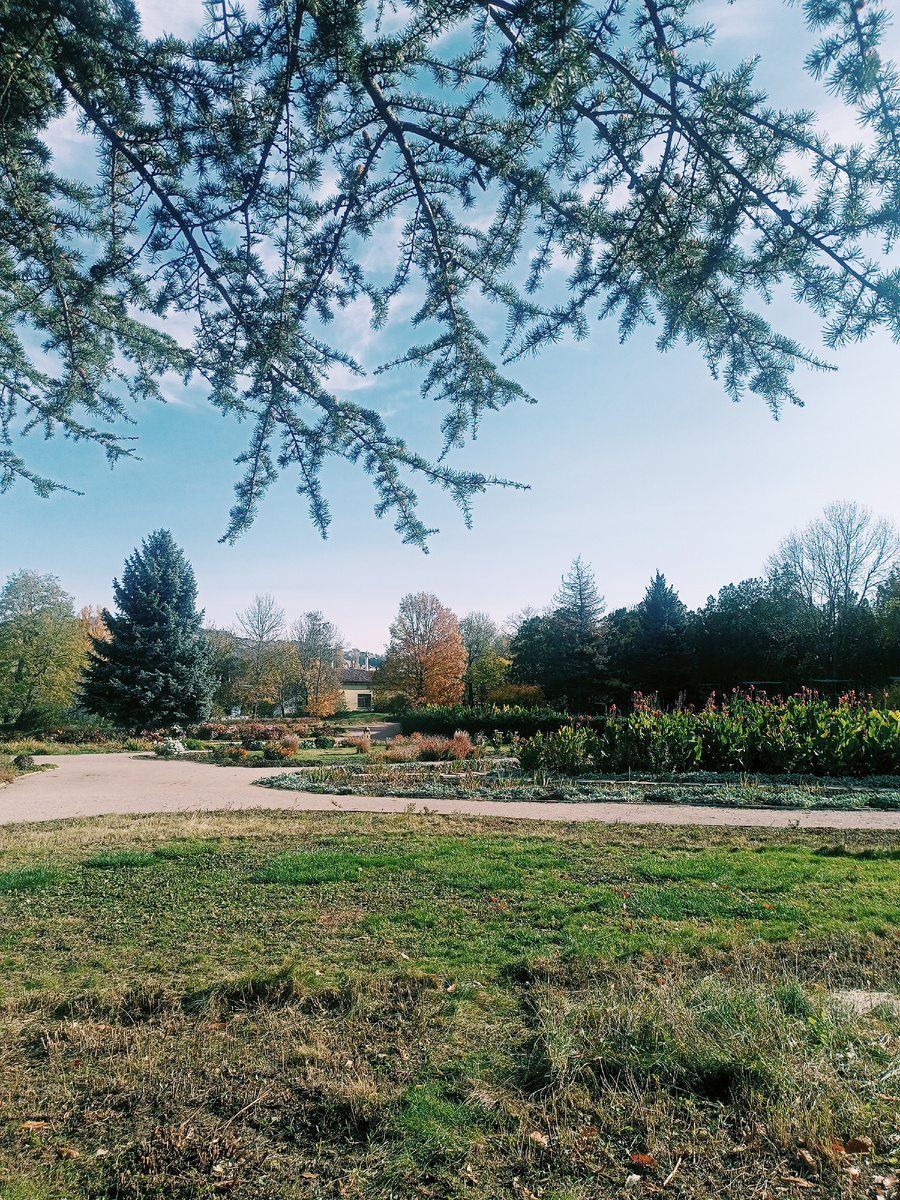 Фото автора.