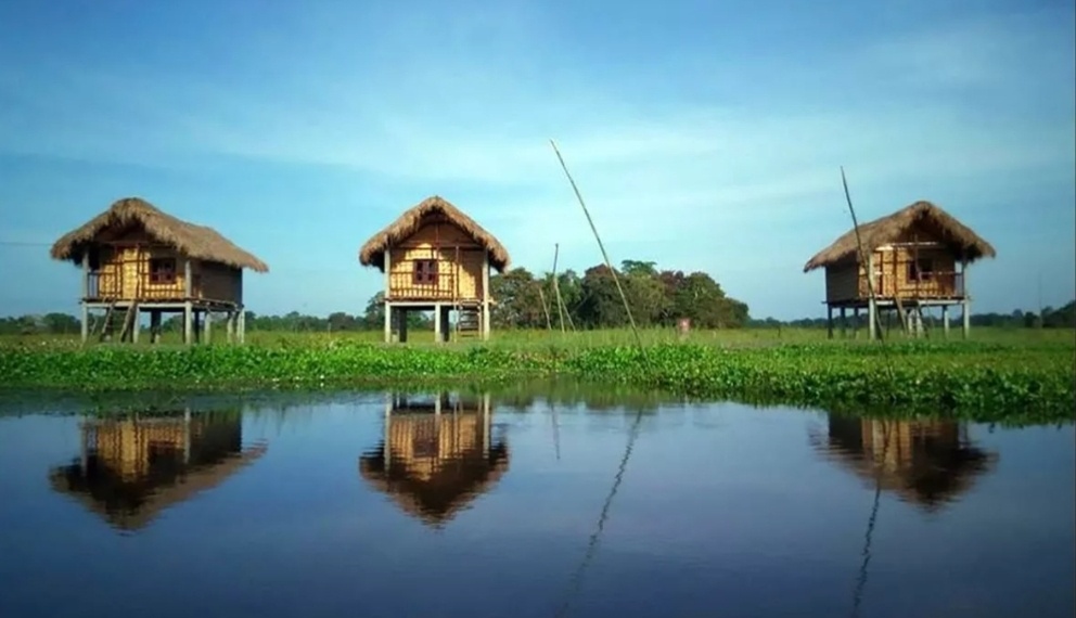 Из открытых источников