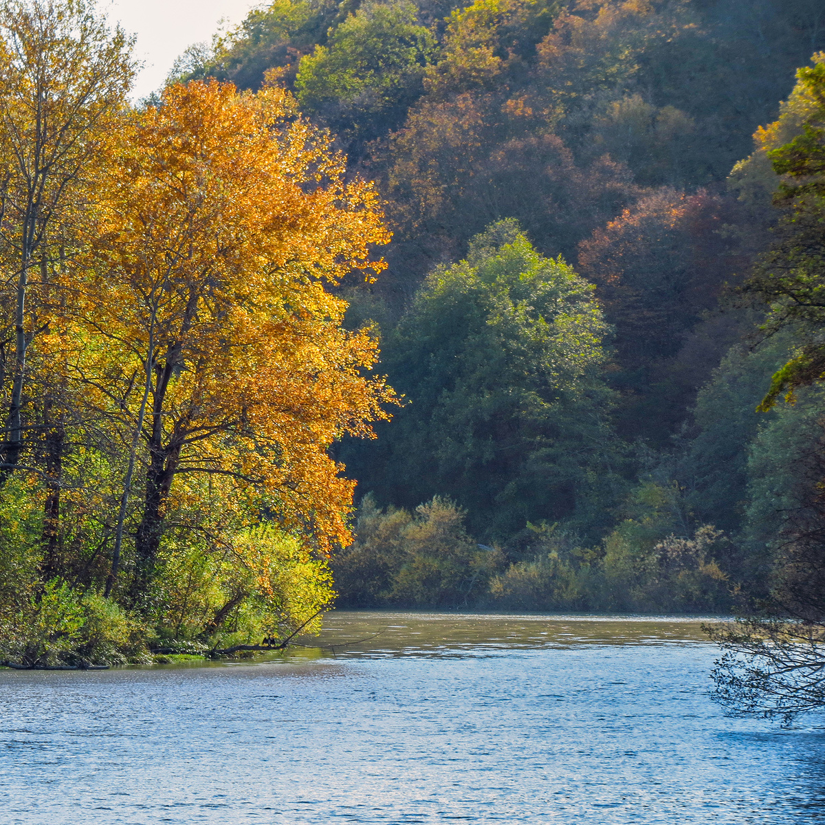 Майкопское водохранилище на реке Белой, Здесь и далее фото автора, 1 ноября 2025 года.