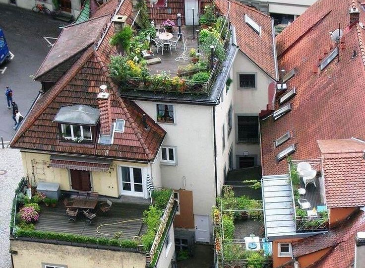 "Так и знал, что вы из России": как немцы точно определяют, что в квартире живут "наши люди"