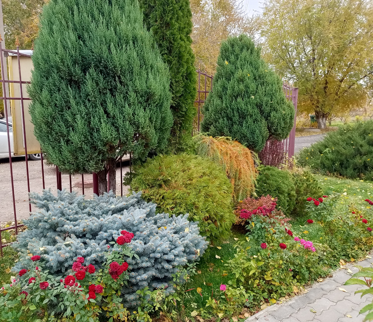 Фото автора.