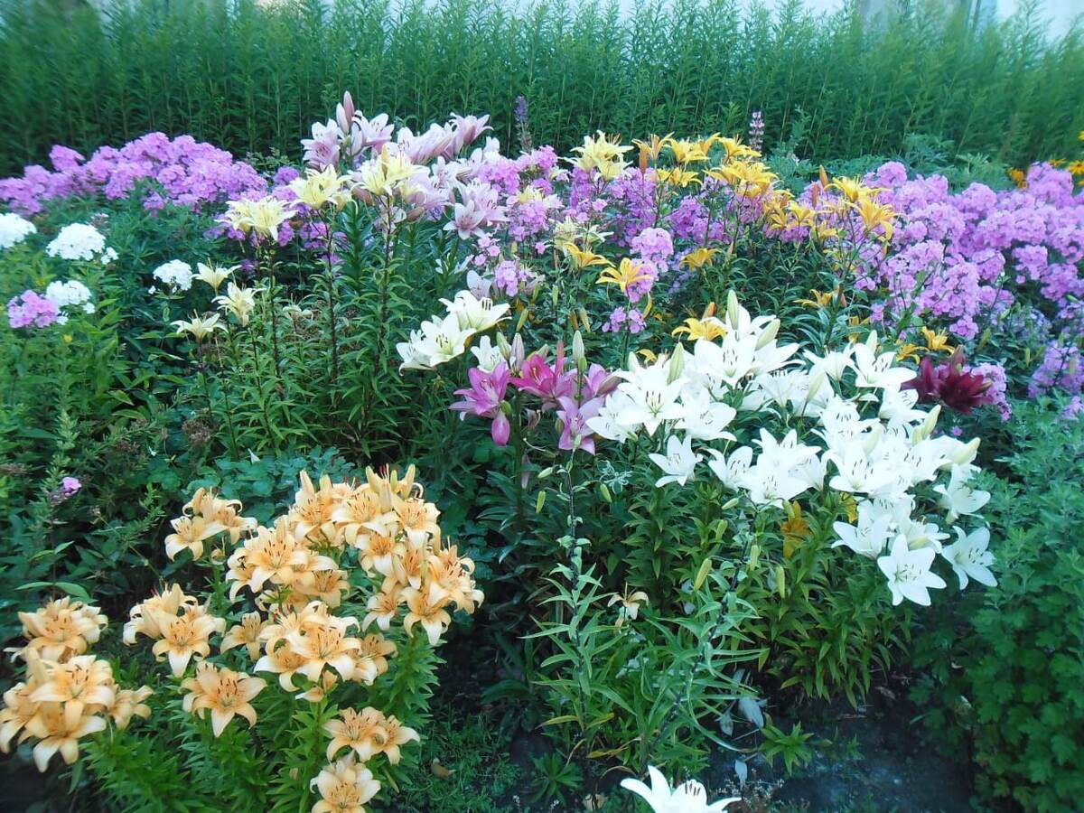 2. В галерее 2 фото, листайте