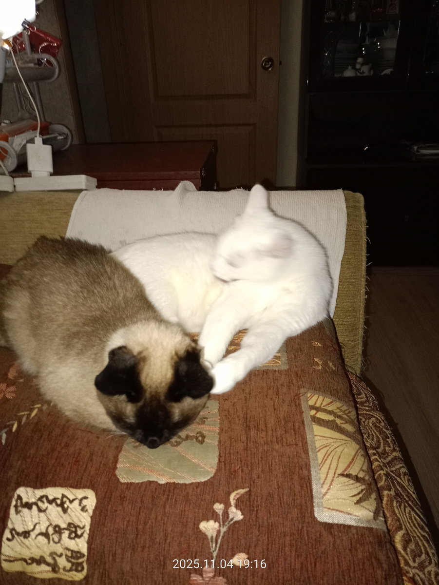 Чарлик и Лунтик