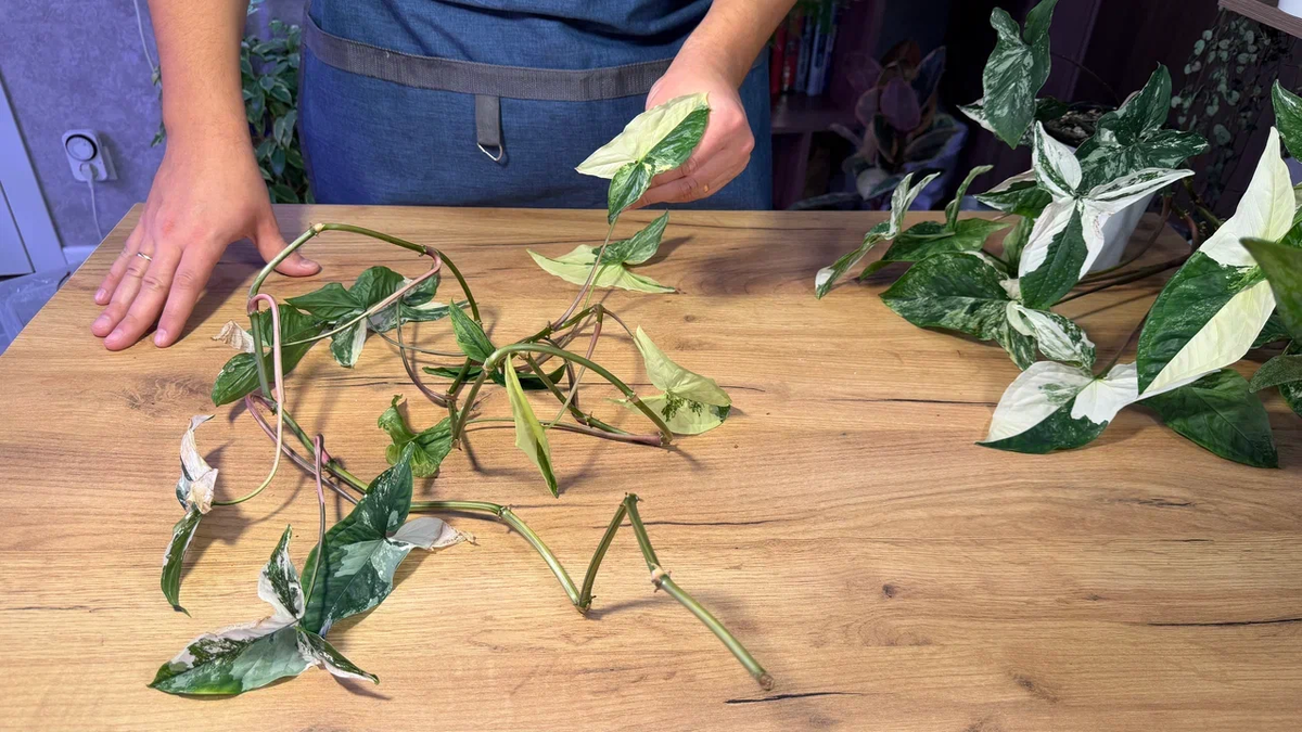 Прихожу, а на полу вот такое валяется...