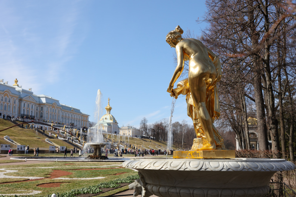Фото: Дмитрий Фуфаев

