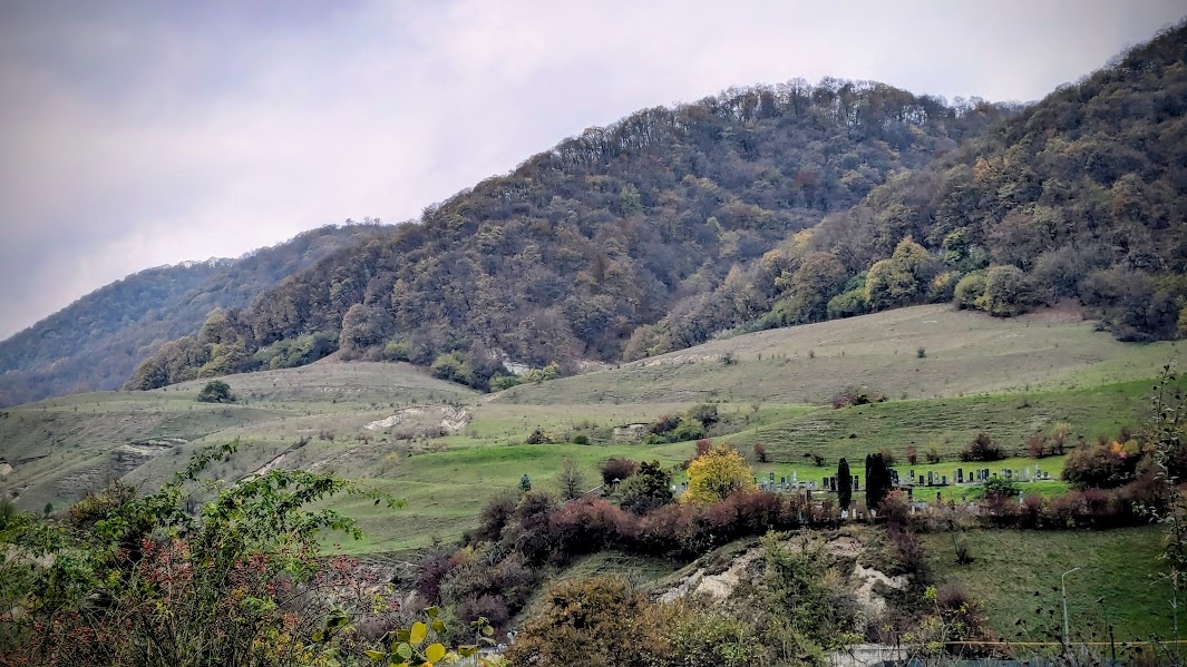 Вид из моего окна в санатории Целебные воды. Фото автора
