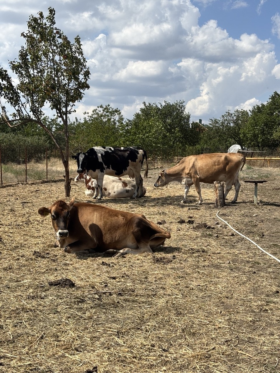 Булочка на первом плане.