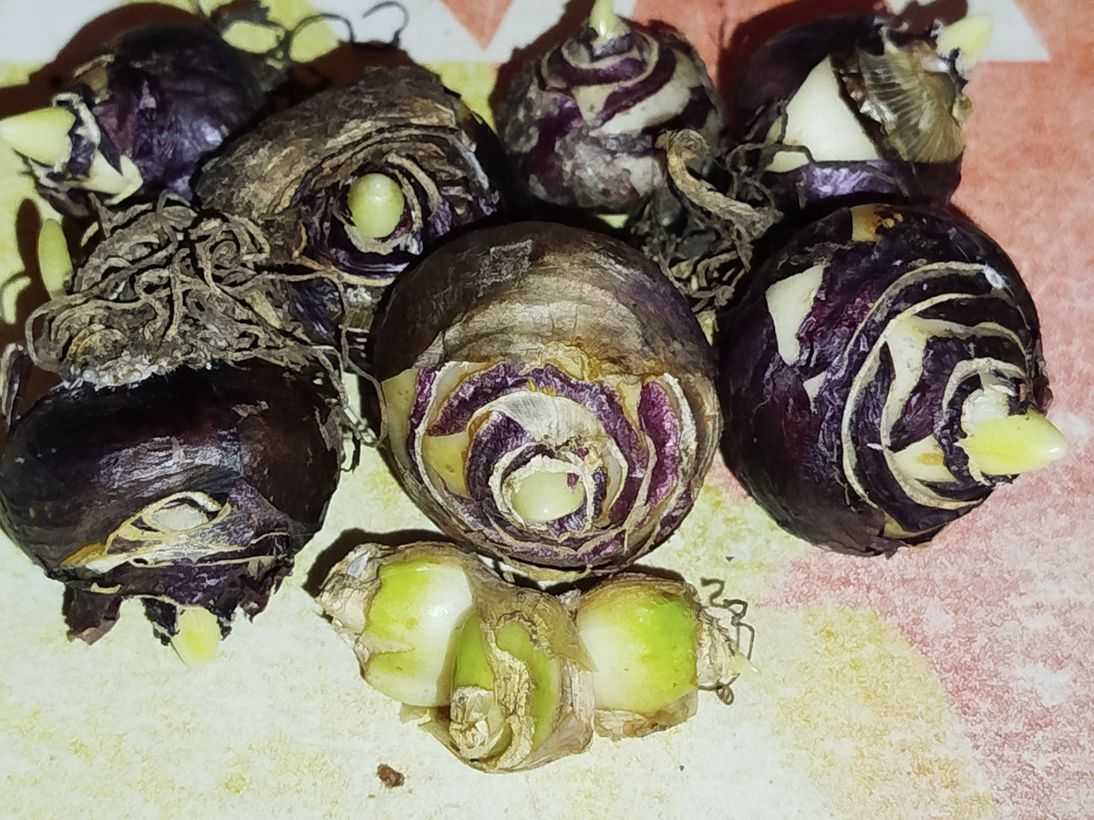 Фото автора.