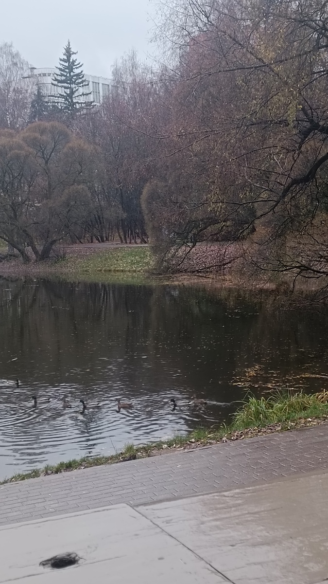 Нарышкинский пруд