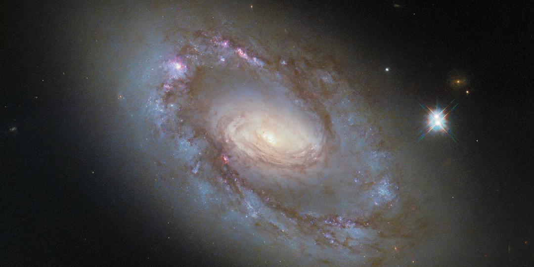 Hubble показал активную галактику NGC 4102 в созвездии Большой Медведицы