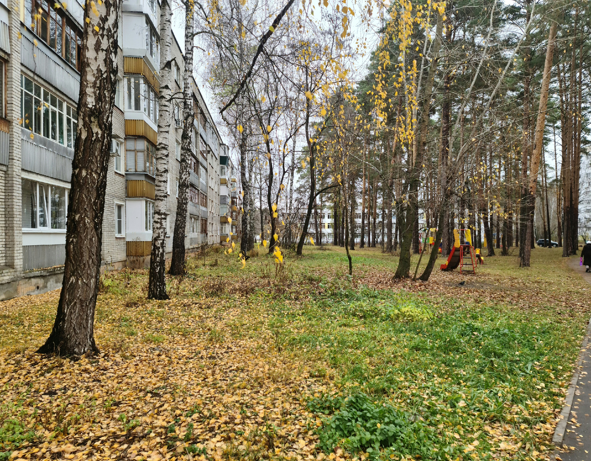 Иногда дети лучше чем иные взрослые дядечки и тетеньки, которые стали скучными, нудными и неинтересными от слова совсем. Дети лучше понимают именно молодые взгляды и установки. Возростные люди это совсем не то, что нужно и их можно отбросить насовсем и избавляться без зазрения совести