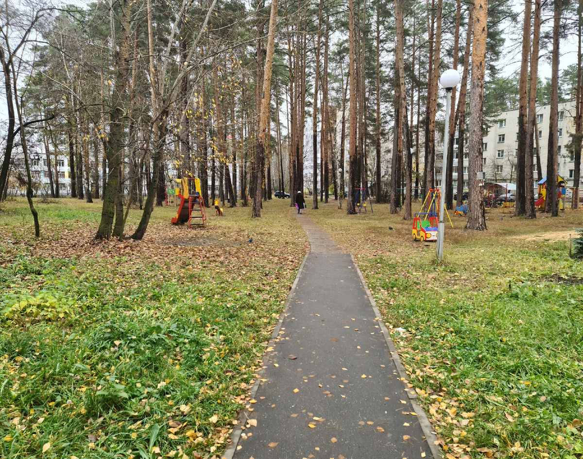 Может быть новые дети станут теми самыми проводниками в счастливую и удачную жизнь