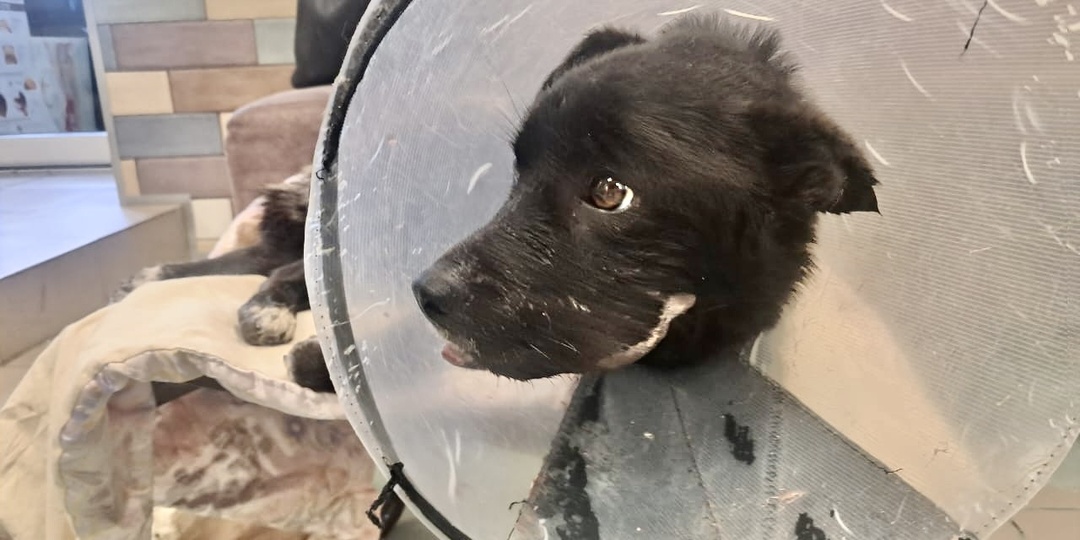 Оливию оставили в стационаре. Она должна жить!