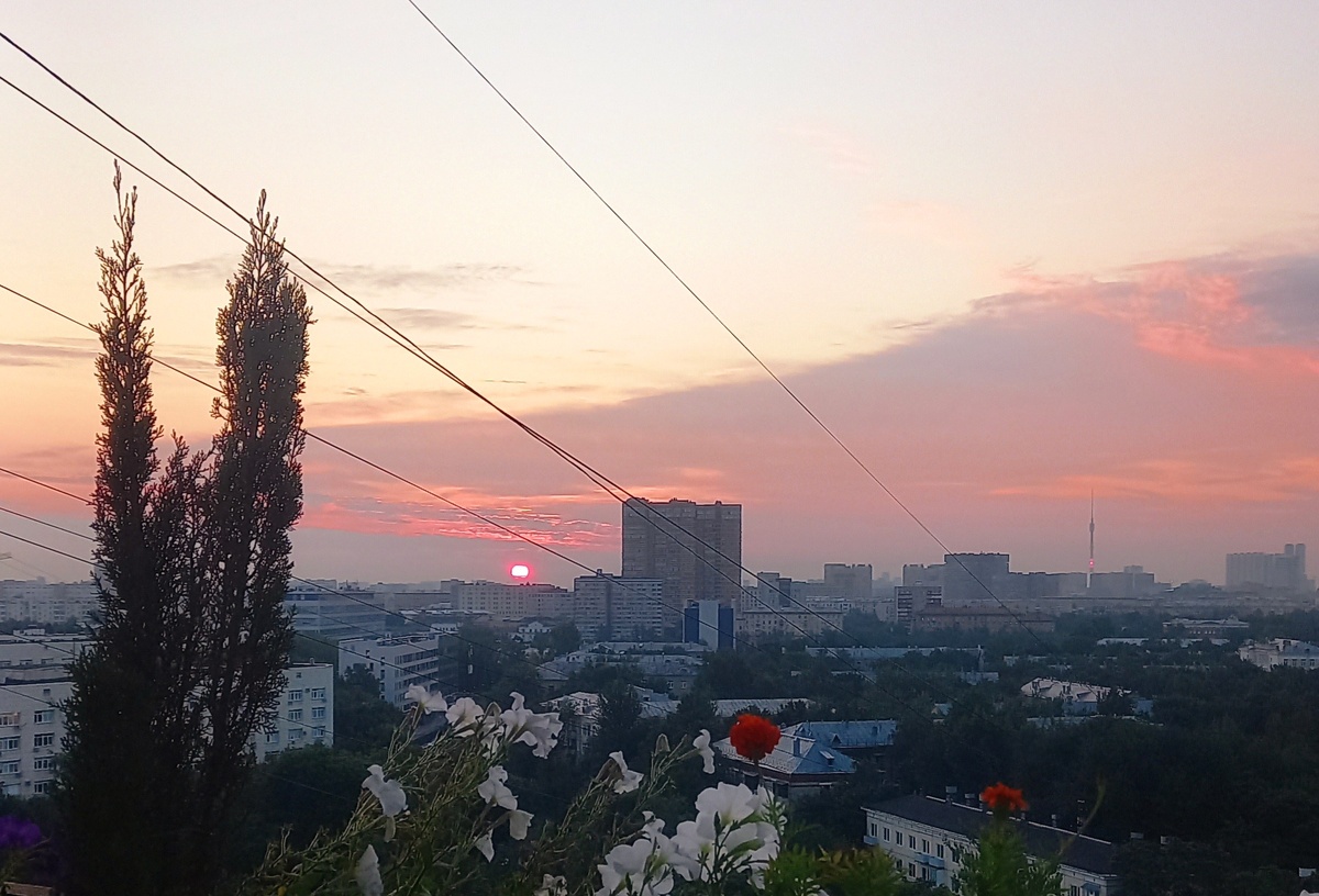 Летний рассвет