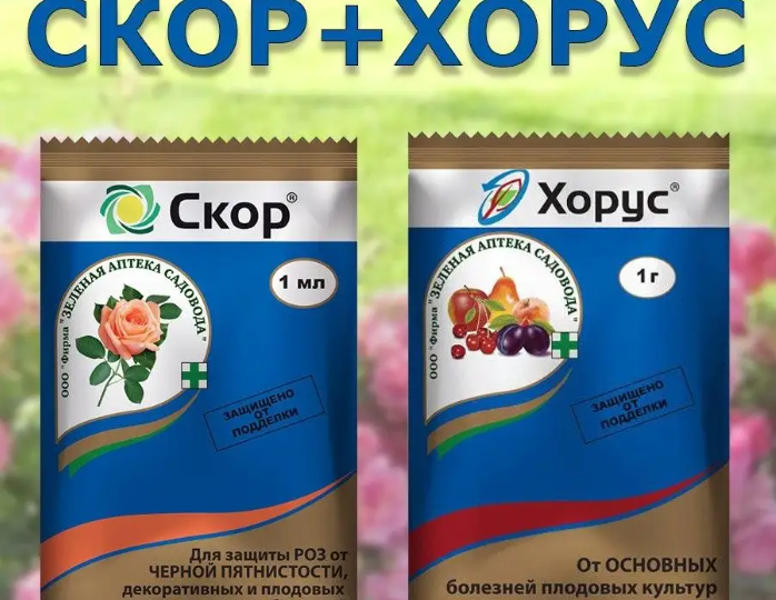 Скор или Хорус для огородника: простое объяснение сложной химии