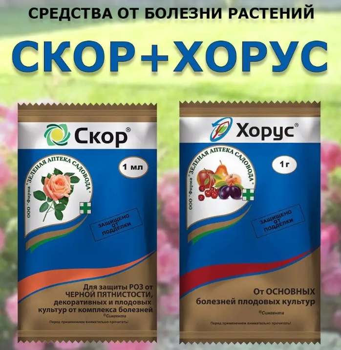 Картинка дял статьи