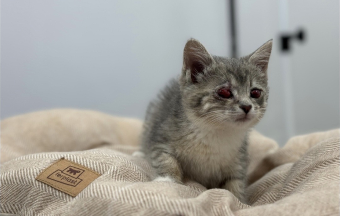 Тася в детстве ♥️