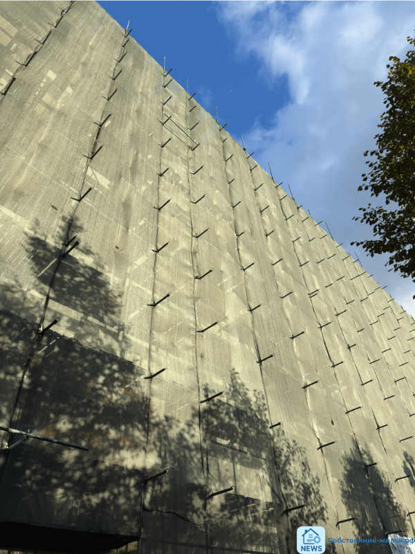 | фото © ISO M-P group