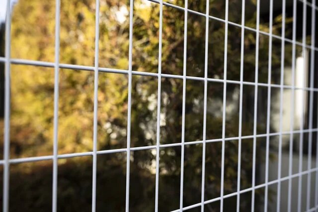    К чему снится клетка?