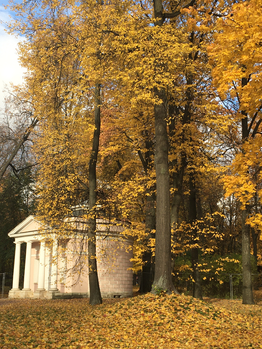 Садовый павильон в усадьбе Останкино 12 октября