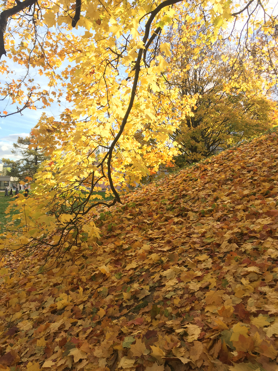 Парнас в парке музея-заповедника Останкино 12 октября