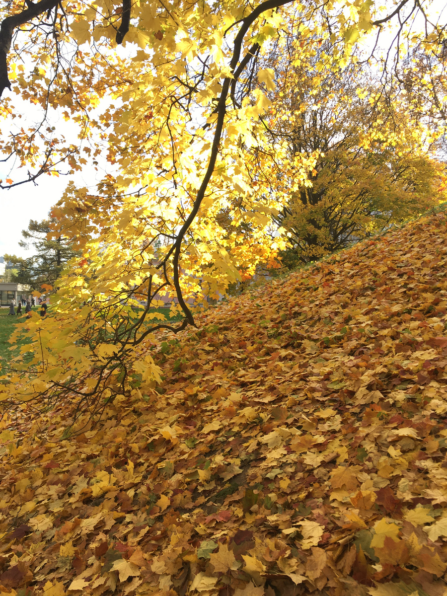 Парнас в парке музея-заповедника Останкино 12 октября