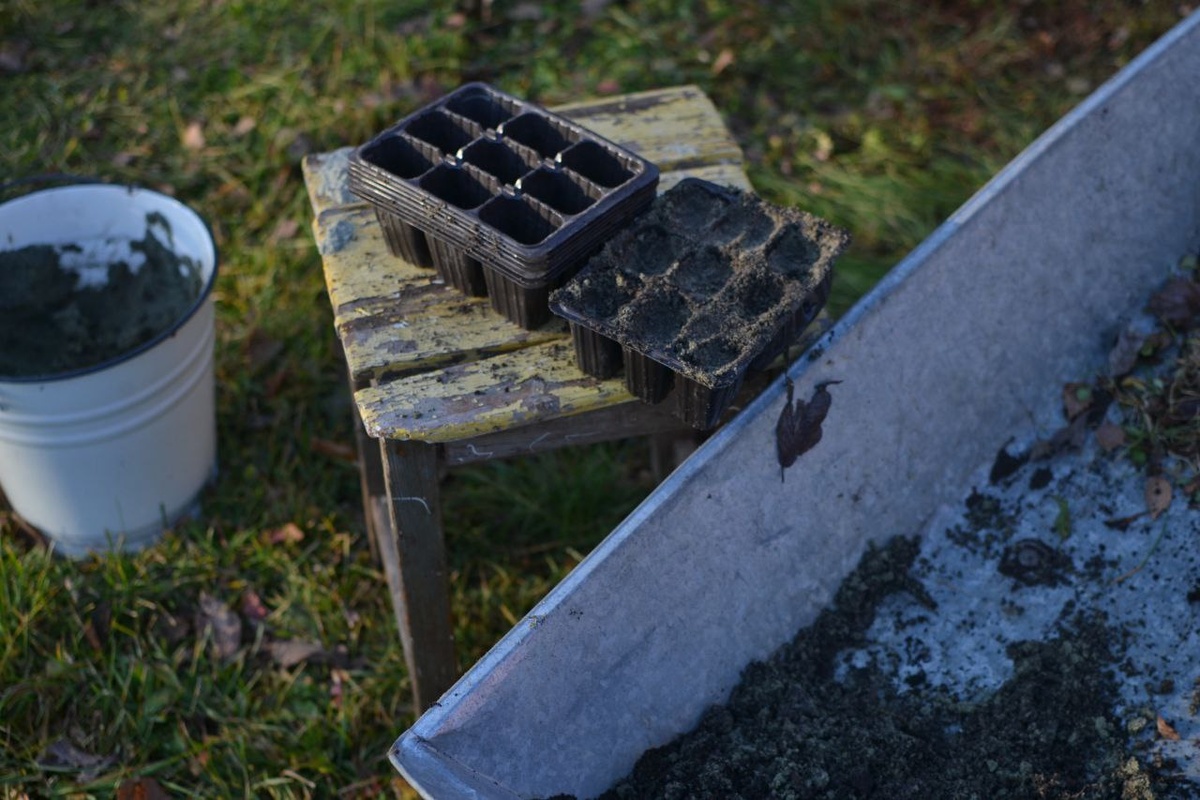 Готовлю почву и ячейки к посеву