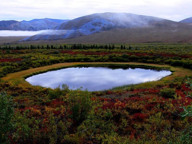 Источник: Яндекс