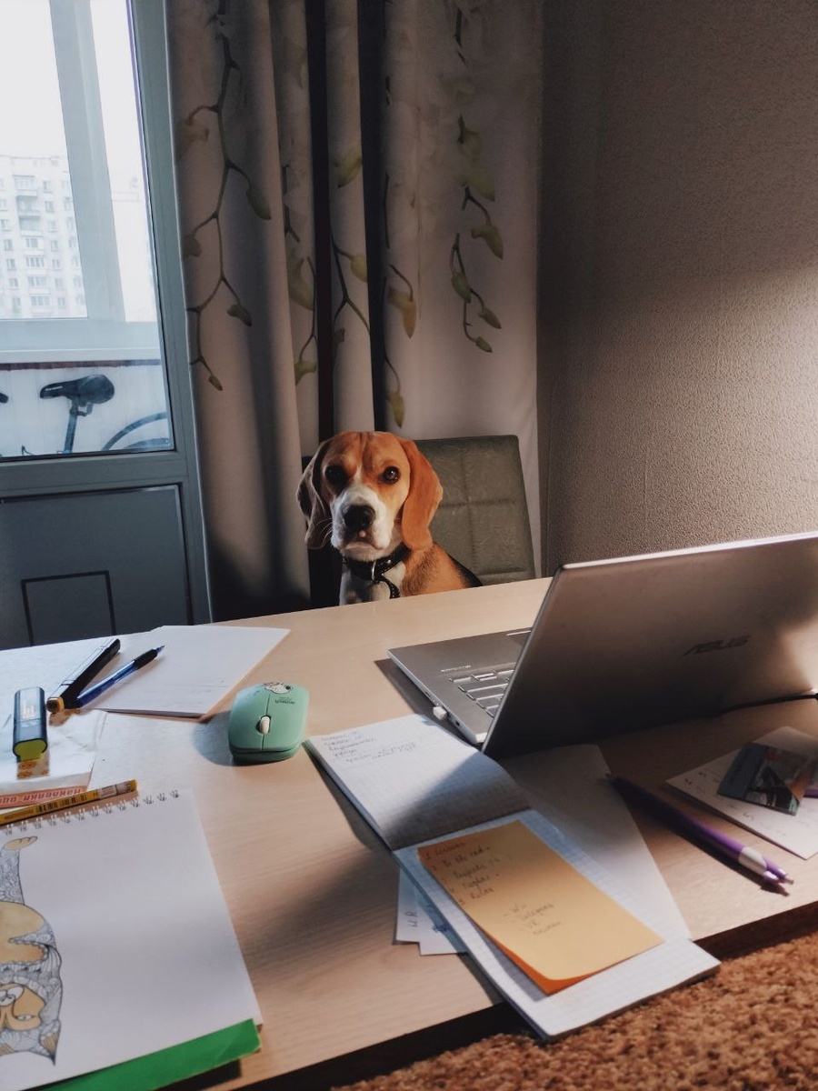 мой рабочий стол в Череповце