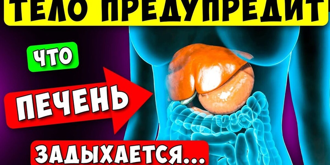 Когда сухость во рту — не от жары, а от проблем с печенью?