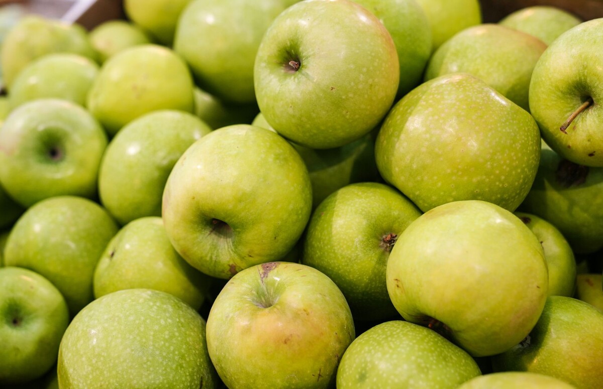     / Источник: © ИЗВЕСТИЯ/Анна Селина