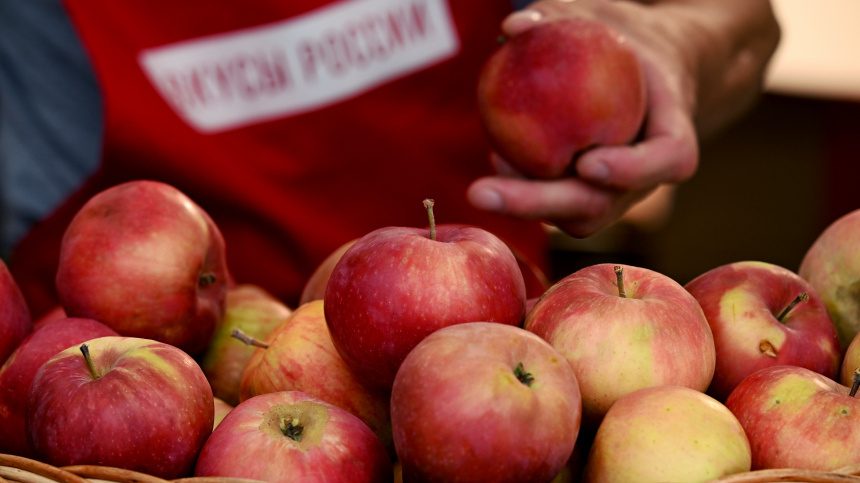    Фото: © РИА Новости/Пелагия Тихонова