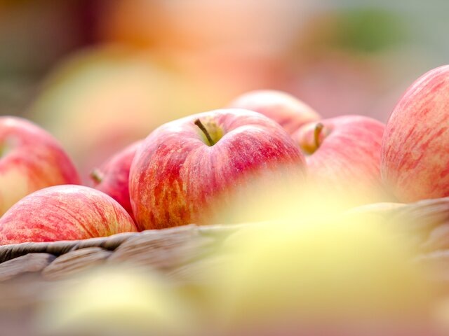    Фото: Москва 24/Лидия Широнина