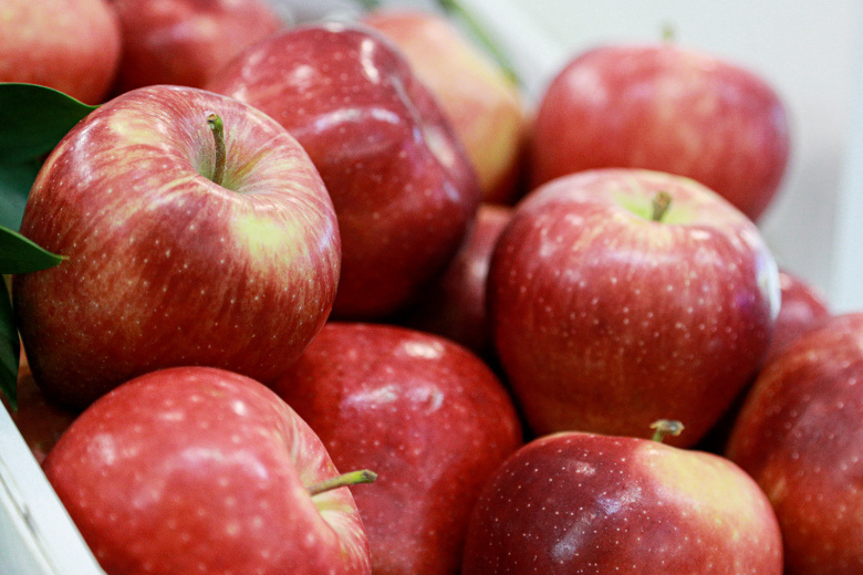    Сергей Булкин/NEWS.ru