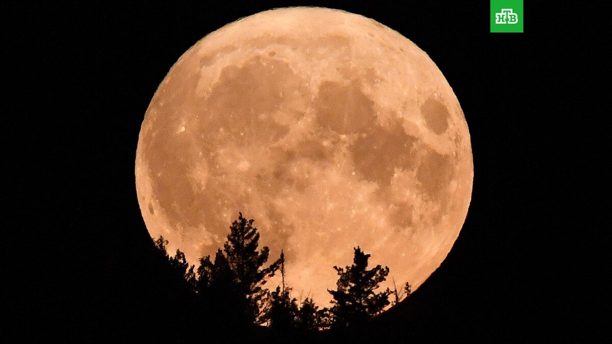    Фото: РИА Новости © 2025, Илья Наймушин