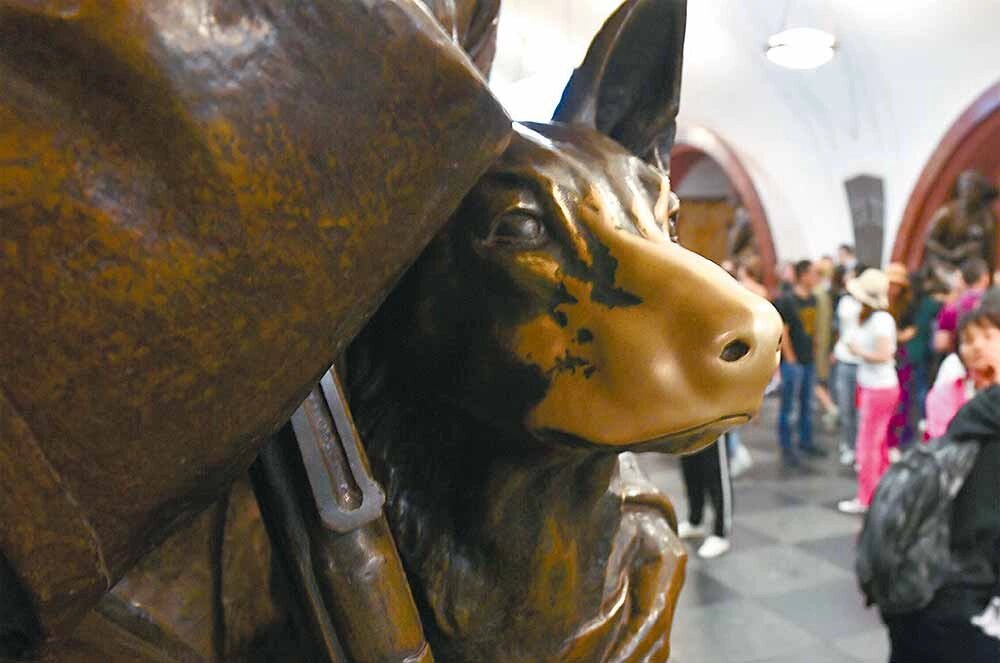    Собачий нос: из бронзового он стал «золотым». Фото: АГН Москва
