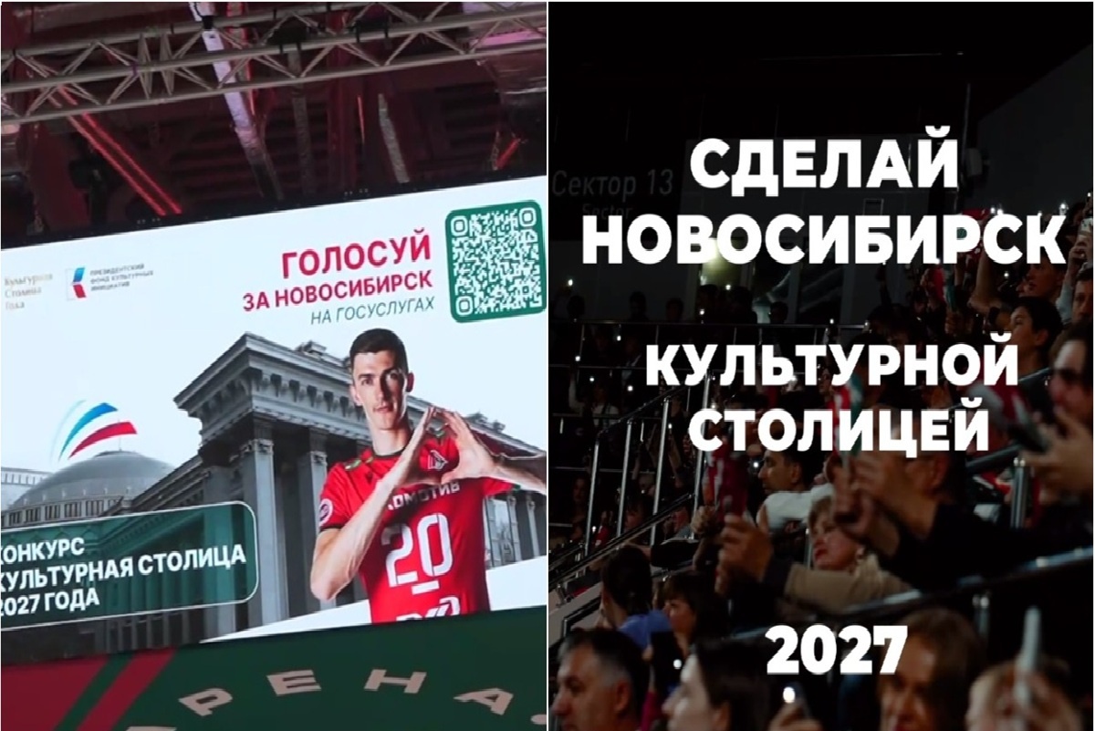    Фото: скриншот видео, источник nso.ru