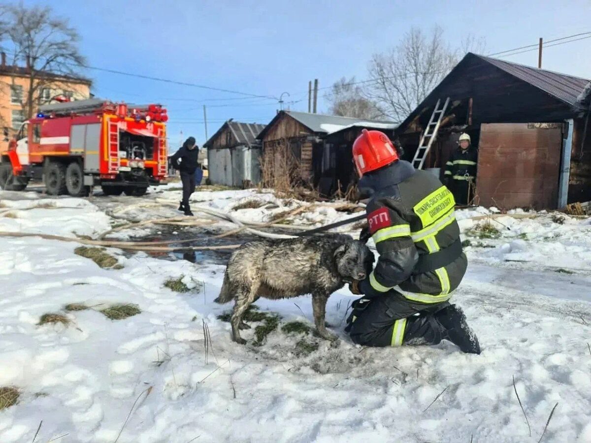    Фото: пресс-служба агентства по делам ГО, ЧС и ПБ Сахалинской области Наталья Краснова