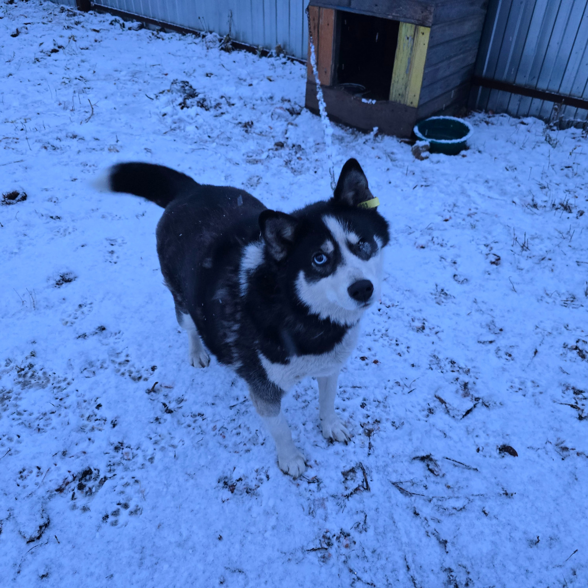 черно-белая надежда смотрит в душу