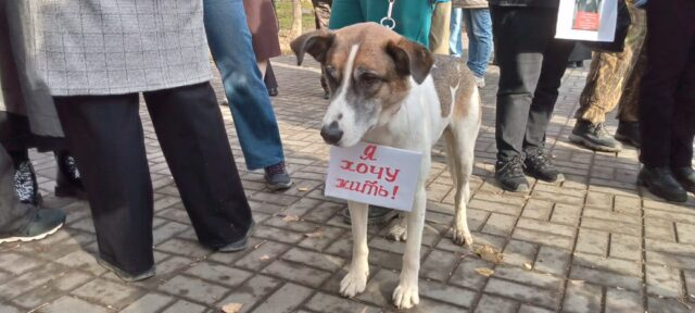 Фото: Метафора ТВ